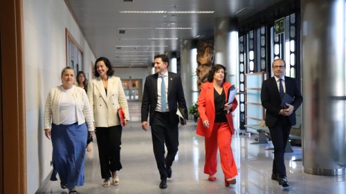 La CMCE acuerda actualizar la financiación de la Dependencia en Euskadi, incrementando los recursos en casi 250 millones de euros al año