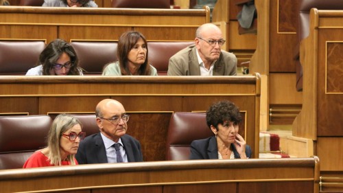 Vaquero reprocha al Gobierno español que el rechazo del Congreso a los decretos ley es 